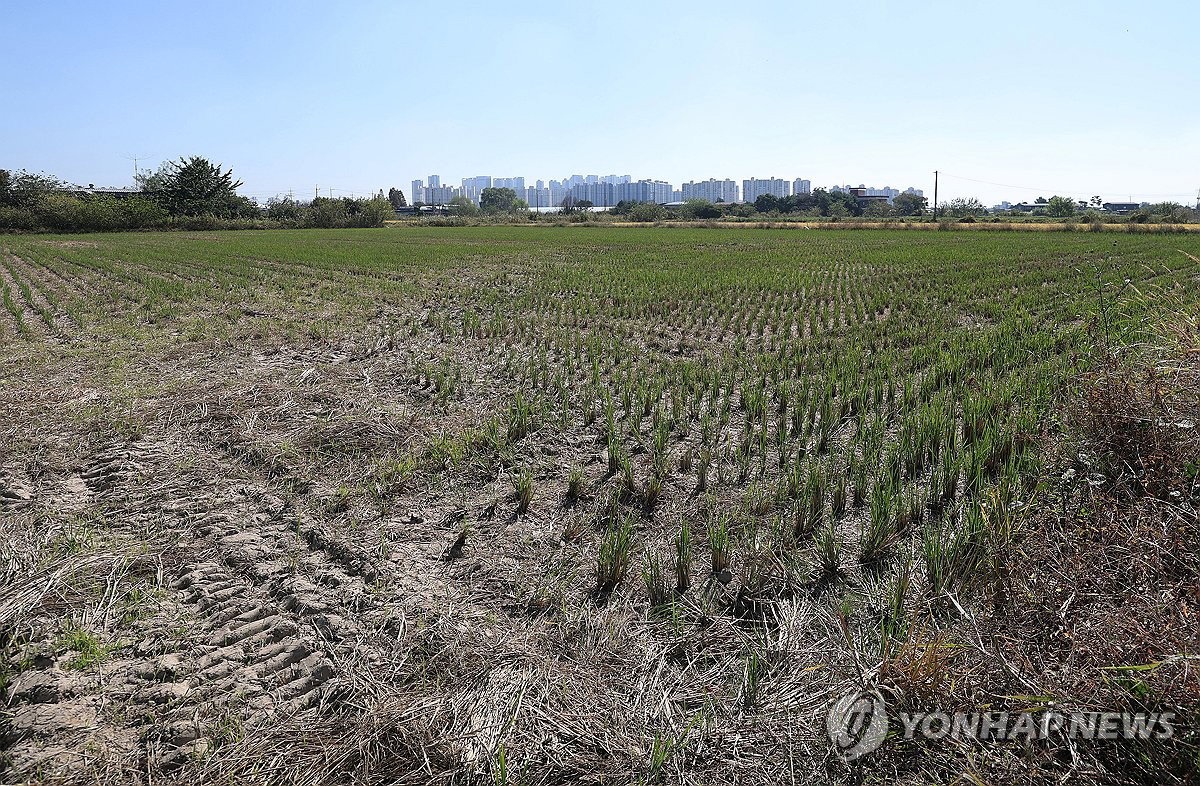 Ministry of Agriculture and KRC to Open Consultation Centers for ...