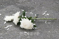 광주 모 아파트에서 두자매 투신…또 성적비관 자살?