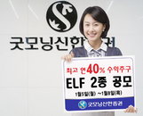 굿모닝신한證, 연 최고 40.0% 수익추구형 ELF 2종 공모