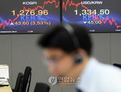 주가는 최고치, 환율은 폭락