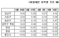 버블세븐지역 상승폭 4주 연속 감소...현재 0.06%