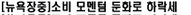 [뉴욕장중]소비 모멘텀 둔화로 하락세
