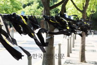 [JK포토] 검은 리본으로 뒤덮인 덕수궁 뒤뜰