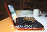 삼성 미니노트북 N310 이색 동영상 ‘눈길’
