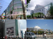 516억 지방 대표 상가 경매 등장...올해 최고 경매가