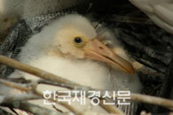 서울동물원 황새 등 멸종위기 조류 번식 성공..그 비결은?