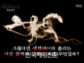 엔젤헤어 정체는? ‘UFO·거미줄·화학무기?’