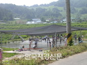 매년 8월 외이염 환자 가장 많아… 지난해 0~19세 2배 급증