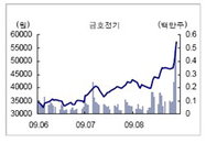 [특징주] 금호전기 LED관련주로 급등