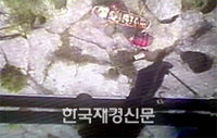 프로포즈 추락사고? 美 20대 여성 청혼에 감동해 정신잃고 추락