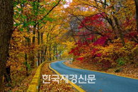 하루에 즐기는 주말 가을여행