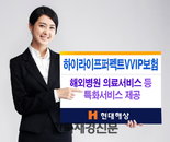 현대해상, VVIP를 위한 ‘하이라이프퍼펙트VVIP보험’ 출시