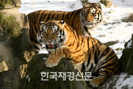 한가로운 한때 ‘밥은 언제 나오나?’