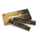티뮤커뮤니케이션즈, 게일社 게이밍 DDR3 '블랙 드래곤' KIT 공급