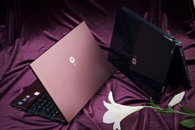 AMD 티그리스 플랫폼 탑재 HP '프로북 R시리즈'