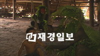 <아마존의 눈물> 관람평점 1위