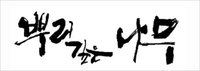 sidusHQ, 베스트셀러 <뿌리깊은 나무> 전격 드라마화