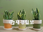 직장인 스트레스 날리는 도우미 제품 어때?