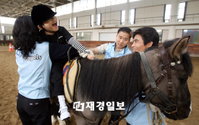 전남도, 전국민 말타기 운동 19일 전개