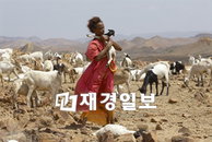 <데저트 플라워> 와리스 디리에서 한비야까지, 세상을 바꾸는 목소리?!