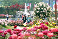 '로즈데이' 연인과 함께 ‘로맨틱하게 보내는 법’