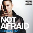 에미넴 싱글앨범 ‘Not Afraid’로 화려한 컴백!!