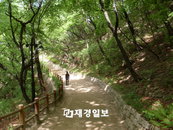 걷기 열풍 속 ‘남산으로’ GO!