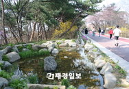 물이 흐르는 남산 재탄생