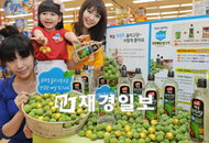 CJ 백설 올리고당, 매실철 맞아 황금매실 행운 이벤트 개최
