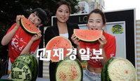 고창 명품 수박, 17만원에 낙찰