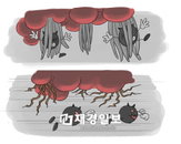 전문의 한마디 “비염과 축농증치료, 코 점막의 습도 조절이 중요해”