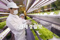 롯데마트안에 농장이 들어왔다!