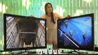 삼성전자, 3D PDP TV 신제품 2종 출시