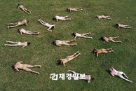 <제10회 서울국제뉴미디어페스티벌> 영화, 전시, 공연을 한꺼번에!!