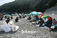 대우조선해양, '청정 거제해안 살리기' 나서