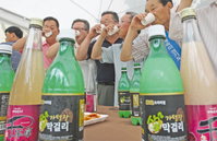 명맥만 유지하던 막걸리는 잊어라… 명품주로 ‘재탄생’