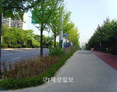 강남구, G20 대비해 가로변 띠녹지 조성