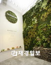 화장품 쇼핑 공간을 청정섬의 자연과 융합시킨 이니스프리 명동 플래그십 스토어 오픈