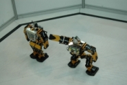 태권로봇 경기장면