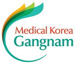 강남구, 러시아 사하 공화국 의료 관광시장 개척 나선다