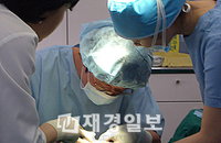 탈모 예방, 채식 보단 '단백질 음식' 섭취해야
