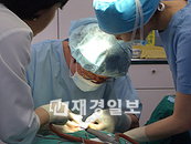 탈모 예방, 채식 보단 '단백질 음식' 섭취해야