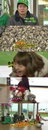 '청춘불패2'강지영,생굴 1,000개 까기에 "누가 뽑았어" 분노의 벌러덩