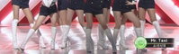 소녀시대 극세사 다리 "오직 소녀시대를 위한 맞춤, 일반인은 들어가지도 않아"