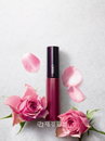 오르비스, 글로스 루즈 NEW FW COLOR 출시