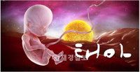 KBS 다큐멘터리 <태아 3D> I3DS 크리에이티브 아츠 어워즈 심사위원특별상 수상
