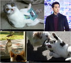 '7급 공무원' 황찬성, 영업의 달인 등극