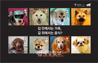 동물보호시민단체 카라, 지하철 스크린도어 광고 화제