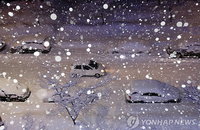 강원 동해안 또 폭설