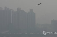 서울시, 정오 기준 초미세먼지 주의보 발령